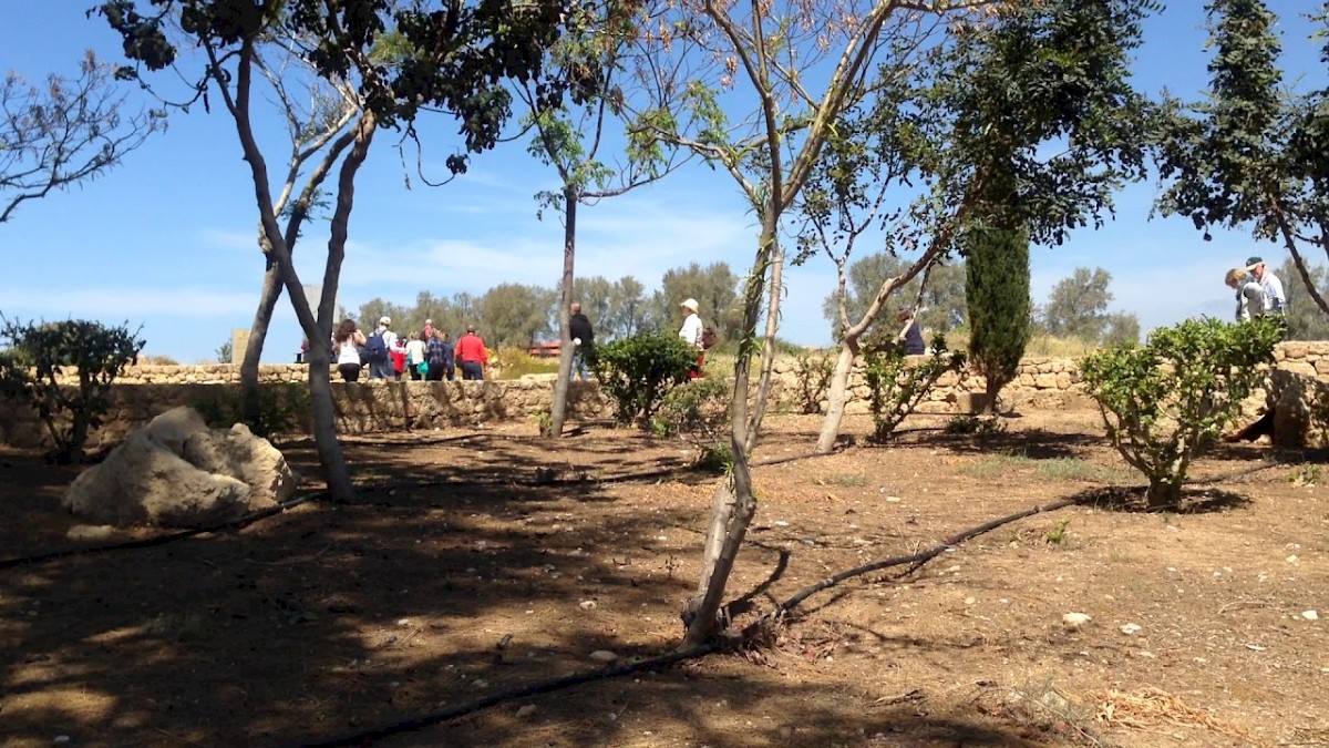 Archaeological Park of Kato Paphos